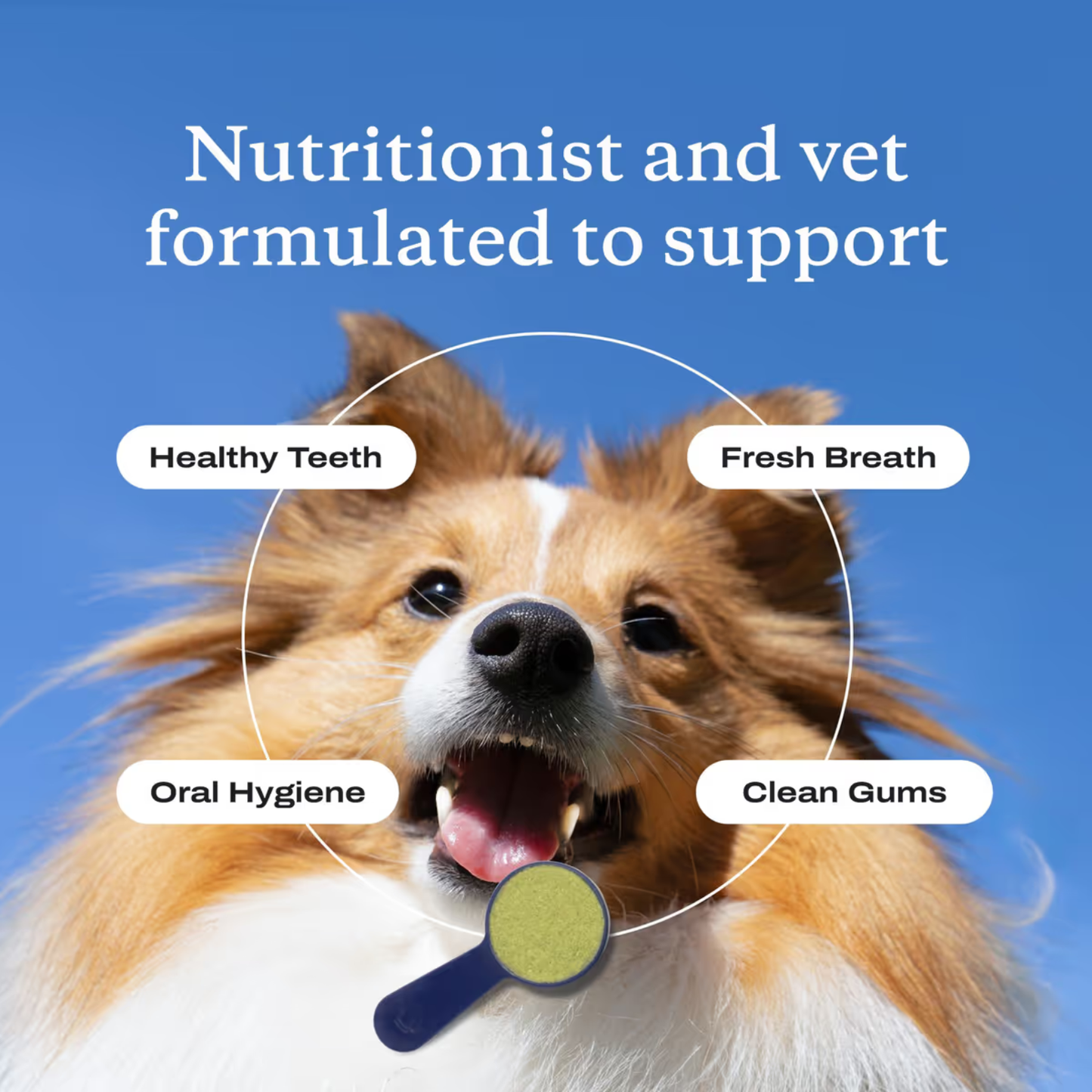 ProBright Advanced Dog Dental Powder