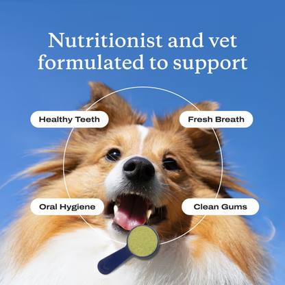 ProBright Advanced Dog Dental Powder