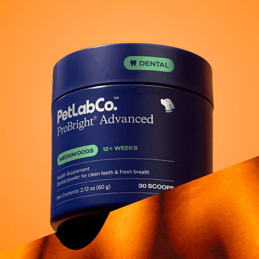 ProBright Advanced Dog Dental Powder